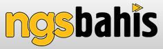 ngsbahis logo