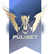 pulibet logo Kopya